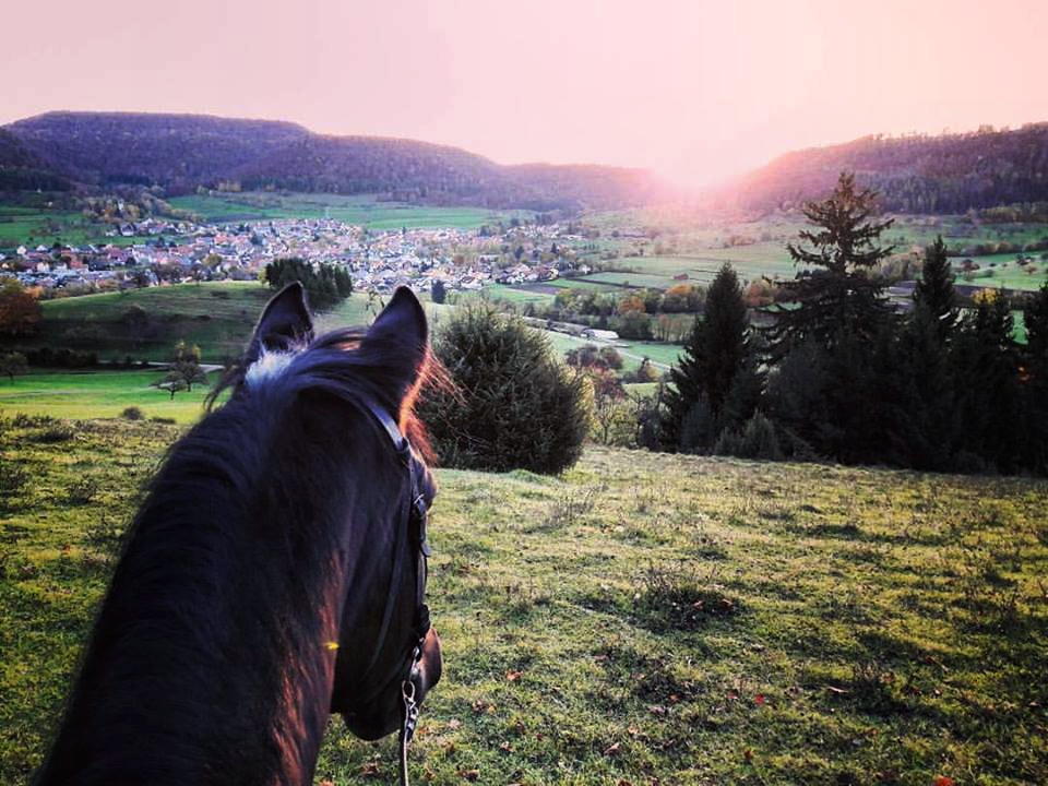 Ausblick beim Ausritt